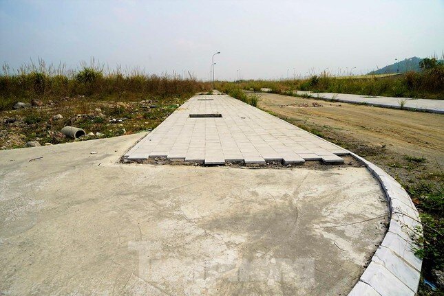 Khu đô thị gần 100ha đất vàng ở Quảng Ninh bỏ hoang, cỏ mọc um tùm ảnh 15
