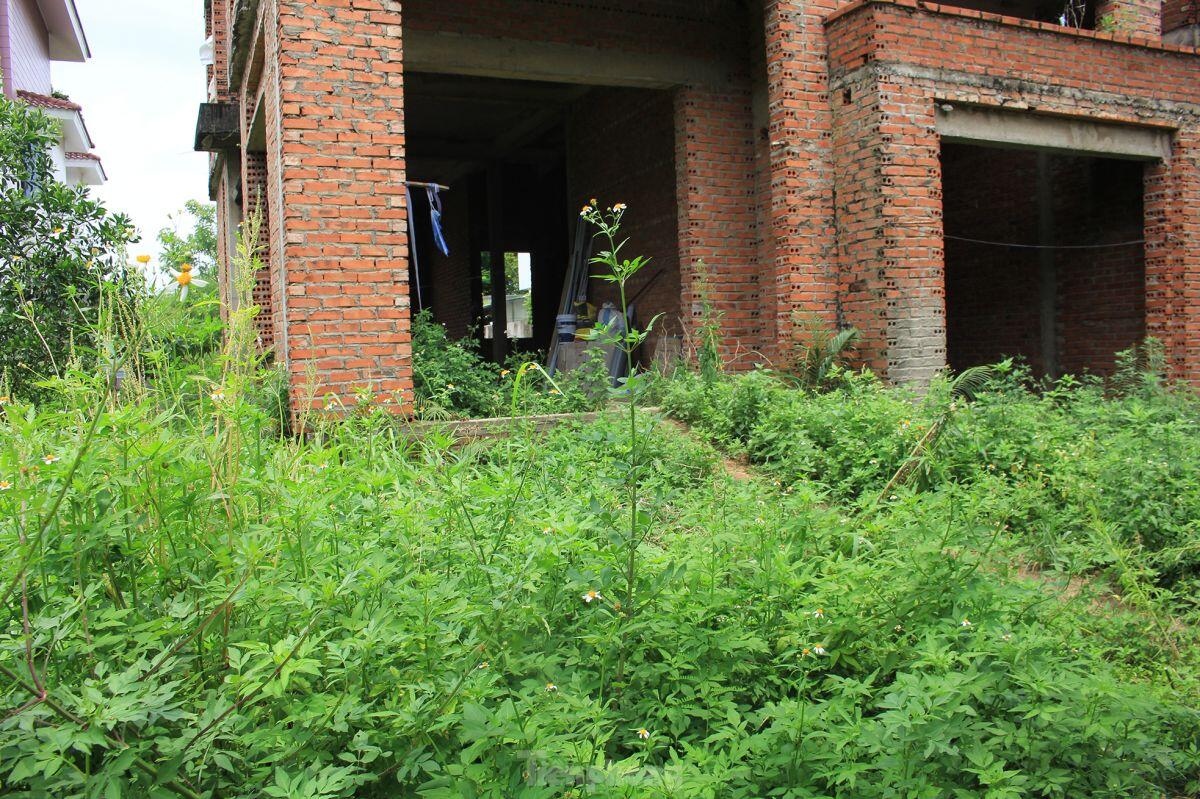 Bắc Ninh: Biệt thự tiền tỷ bỏ hoang thành nơi nuôi thả gà nhiều năm ảnh 14