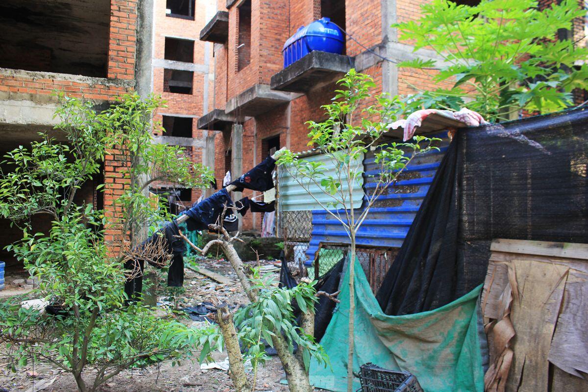 Bắc Ninh: Biệt thự tiền tỷ bỏ hoang thành nơi nuôi thả gà nhiều năm ảnh 4