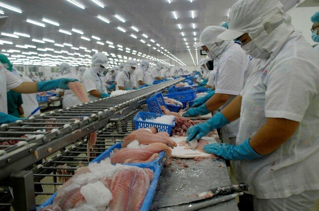 7 tháng đầu năm, cá tra Việt Nam xuất khẩu đạt 1,52 tỷ USD ảnh 3