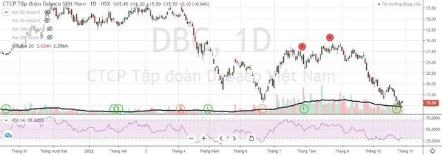 Dabaco Việt Nam (DBC): Cổ phiếu “bốc hơi” 58,3% giá trị, Chủ tịch Nguyễn Như So đăng ký bán ra 10 triệu cổ phiếu ảnh 1