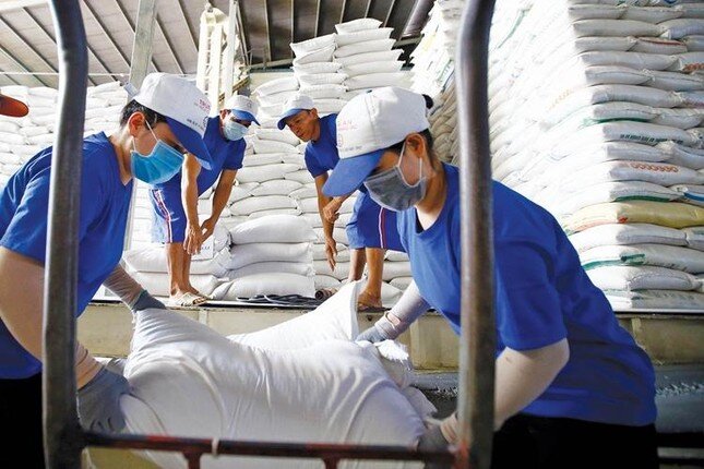 Giá gạo Việt Nam xuất khẩu cao nhất thế giới ảnh 1