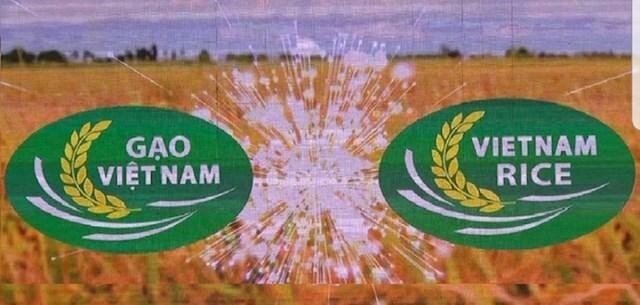  Phê bình Cục Chế biến và phát triển nông sản vì chậm tham mưu chứng nhận nhãn hiệu Gạo quốc gia ảnh 1
