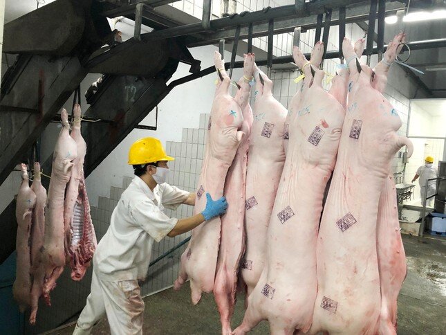 Giá lợn hơi lao dốc, đề nghị Bộ Nông nghiệp nghiên cứu xuất khẩu ảnh 1