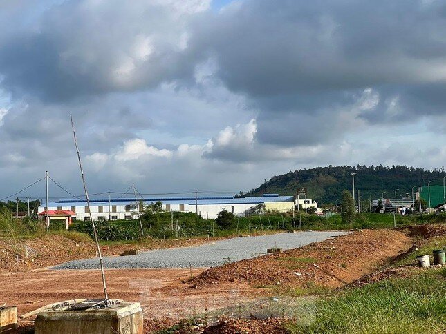 Mới nhất vụ ngang nhiên san lấp đất lúa làm dự án bất động sản ở TP Quảng Ngãi ảnh 1
