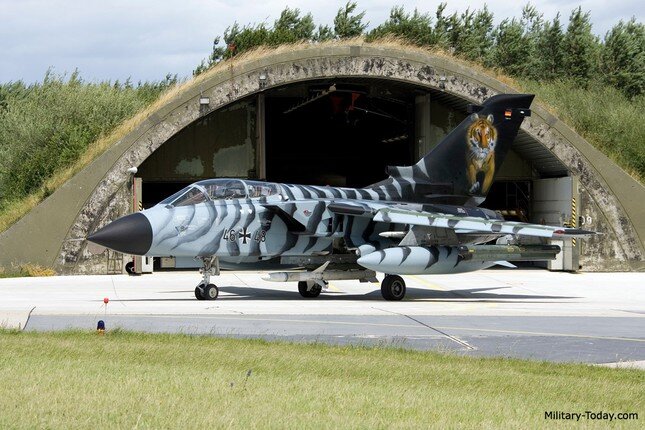 Ukraine đề nghị Đức nhượng lại 93 máy bay chiến đấu Tornado để đối phó với Nga trong cuộc xung đột ảnh 3