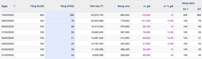 Bất thường: VNZ vừa lên sàn đã tăng 8 phiên trần, gần 900.000 đồng/cổ phiếu ảnh 1