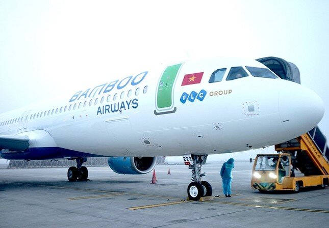FLC bán cổ phần Bamboo Airways, loạt doanh nghiệp bị hủy niêm yết ảnh 1