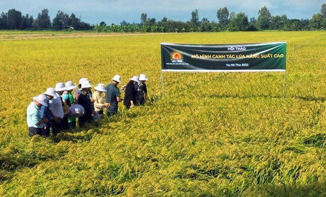 ‘Đại gia’ nông nghiệp tham vọng doanh thu tỷ USD ảnh 1