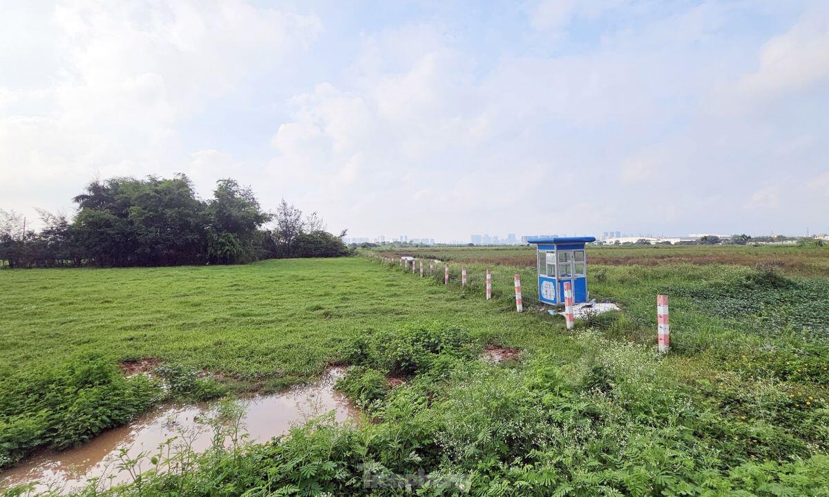 Gần 20 năm ôm đất siêu dự án nhà ở sinh thái Đồng Mai thành nơi chăn bò, trạm bê tông lậu ảnh 5