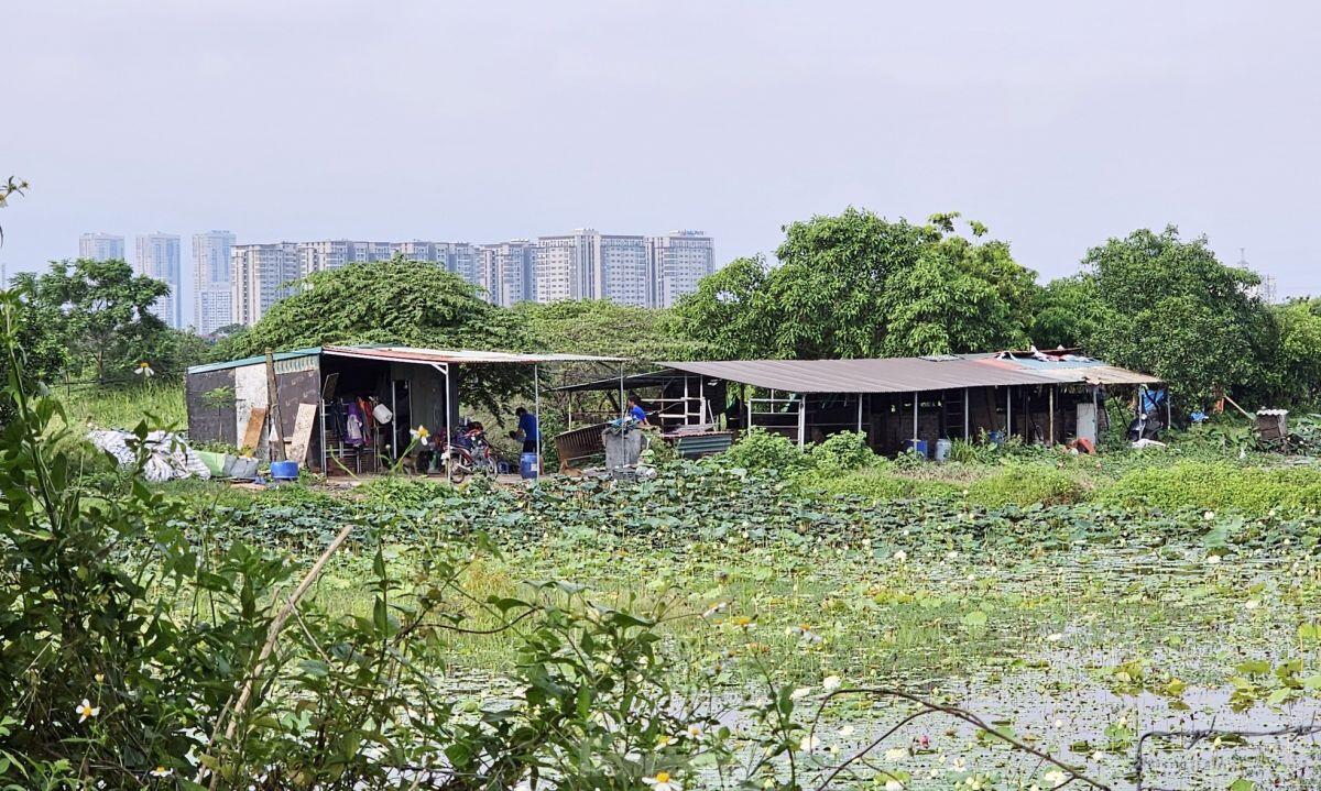 Gần 20 năm ôm đất siêu dự án nhà ở sinh thái Đồng Mai thành nơi chăn bò, trạm bê tông lậu ảnh 7
