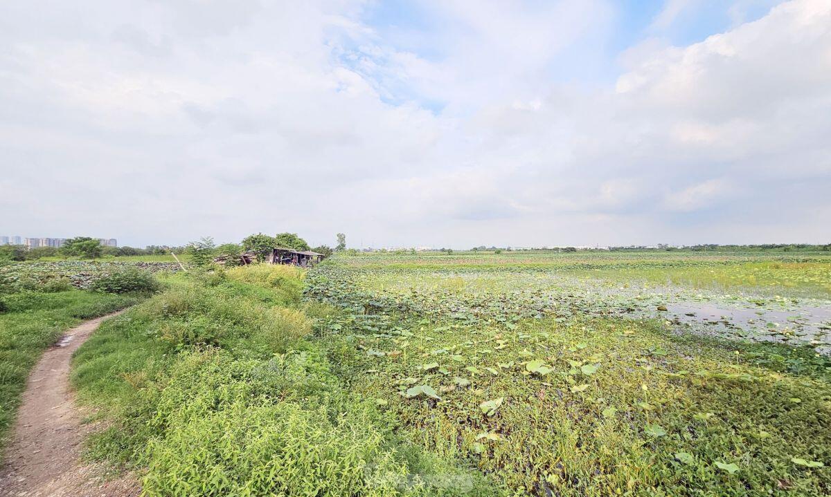 Gần 20 năm ôm đất siêu dự án nhà ở sinh thái Đồng Mai thành nơi chăn bò, trạm bê tông lậu ảnh 14