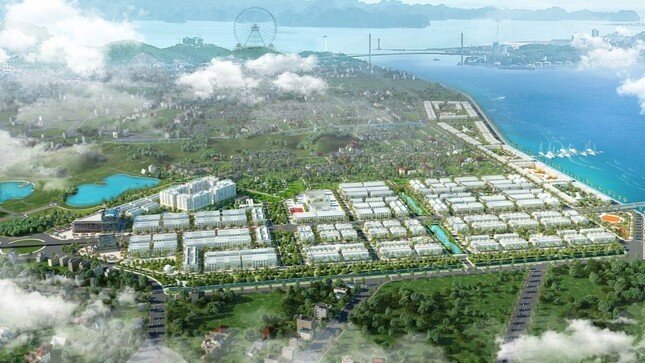 Sau đề nghị thu hồi, FLC nộp bổ sung 100 tỷ tiền đất dự án khu đô thị ở Quảng Ninh ảnh 1