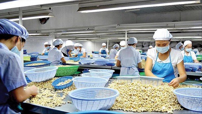 Bị lừa khi xuất khẩu: Vì sao nhiều doanh nghiệp Việt liên tục sập bẫy? ảnh 1