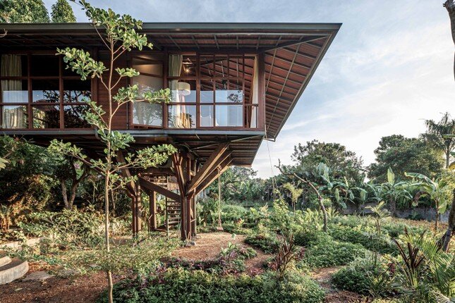 Ấn tượng ngôi nhà trên cây ở Bali ảnh 1