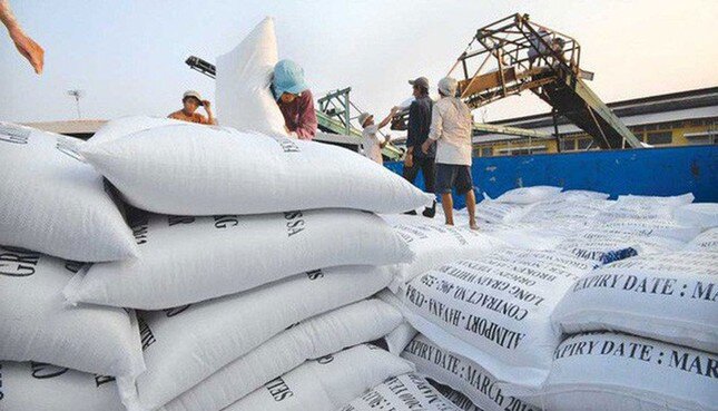Giá gạo Việt Nam mất vị trí cao nhất thế giới ảnh 1