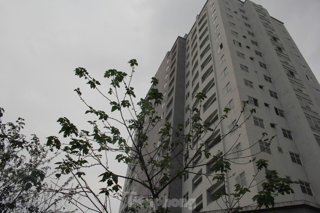 18.000 căn hộ tái định cư bị bỏ hoang tại Hà Nội và TP HCM ảnh 1