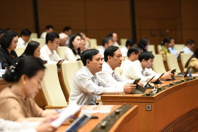 Quốc hội xem xét cam kết mở cửa thị trường của Việt Nam với Vương quốc Anh ảnh 1